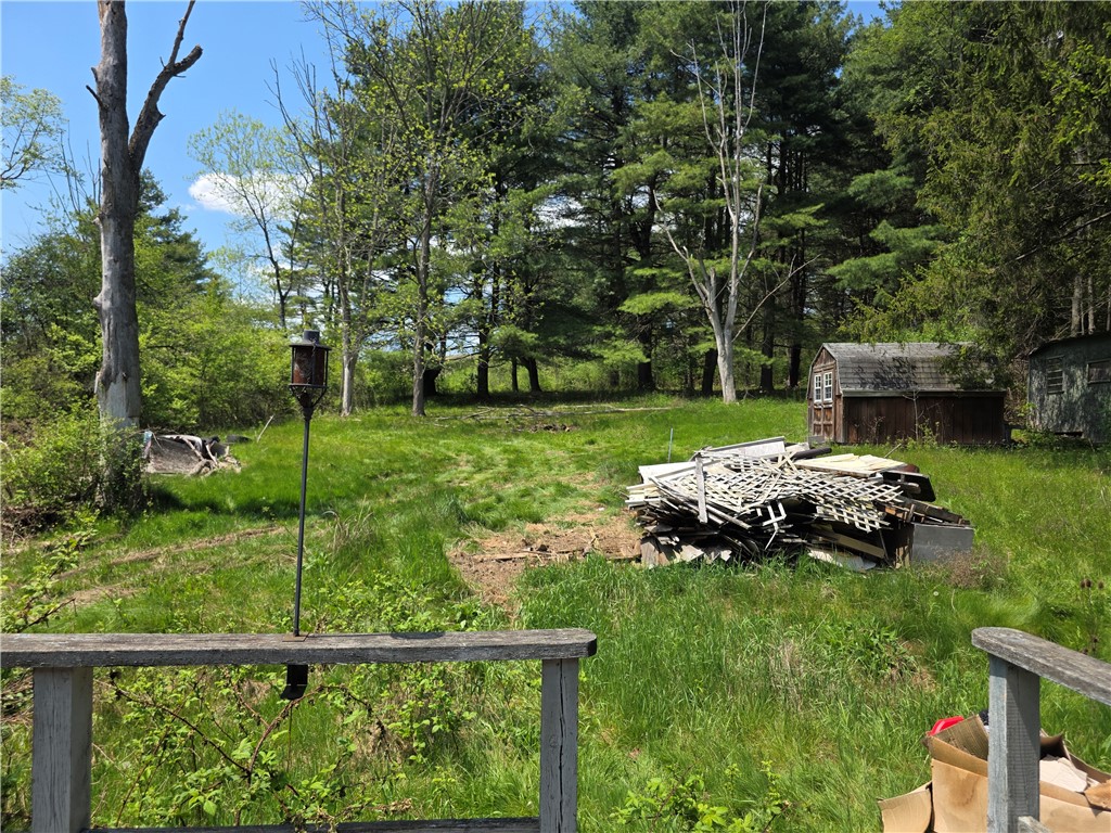 6707 freeman hollow road