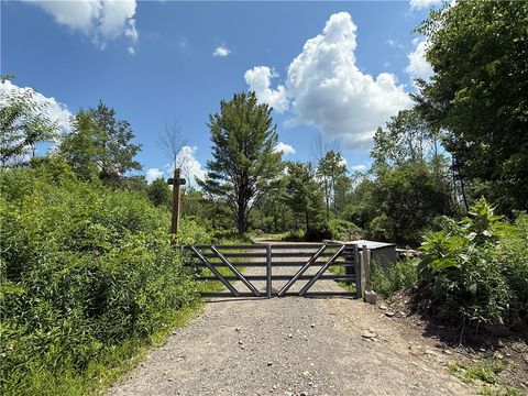 Vacant Land For Sale - Caswell Road<br/> Dryden, NY 13068