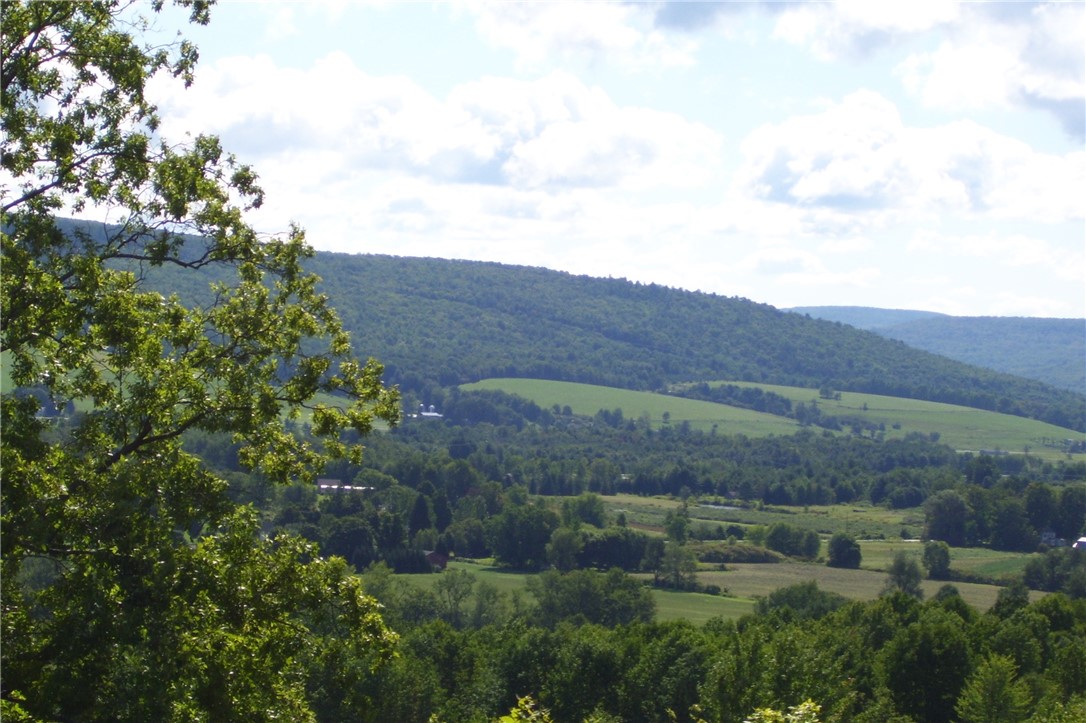 Tyler St. And Cornell Drive, Bainbridge, New York image 16