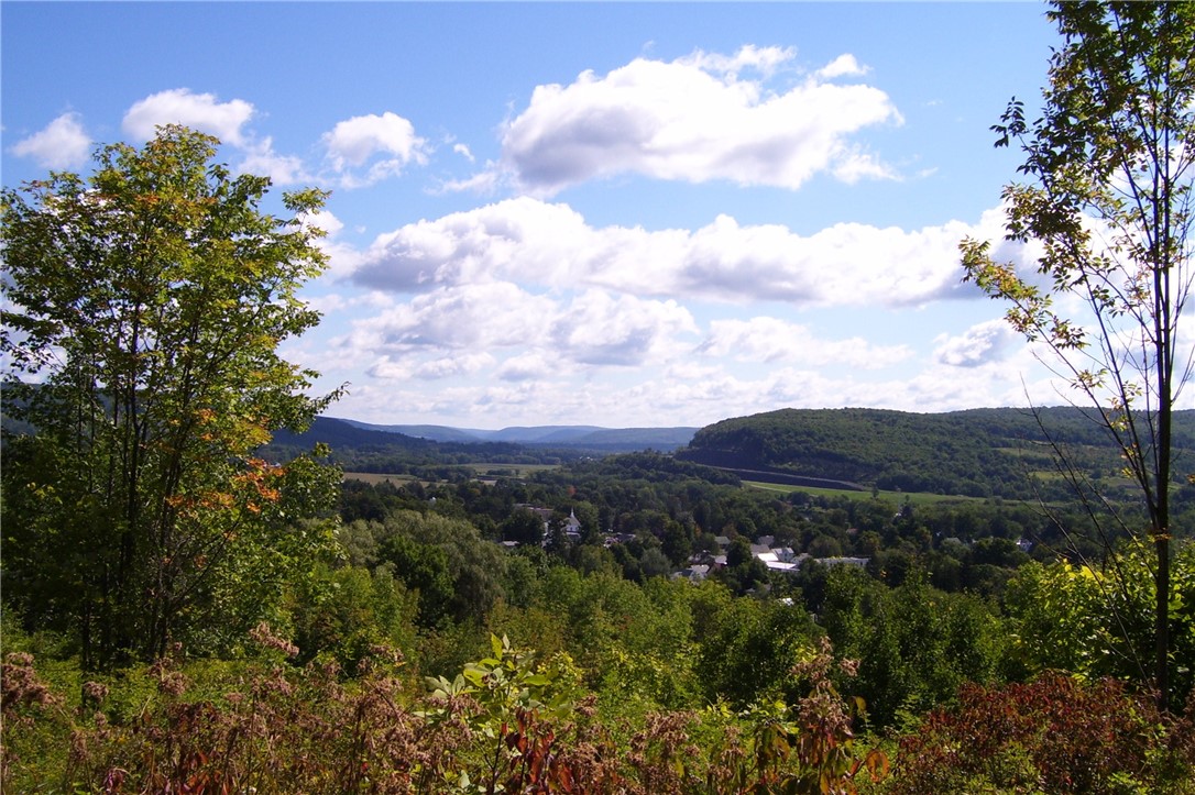 Tyler St. And Cornell Drive, Bainbridge, New York image 8