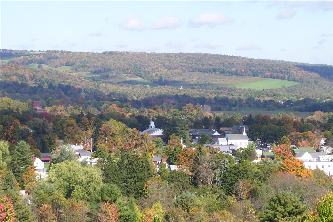 Tyler St. And Cornell Drive, Bainbridge, New York image 4