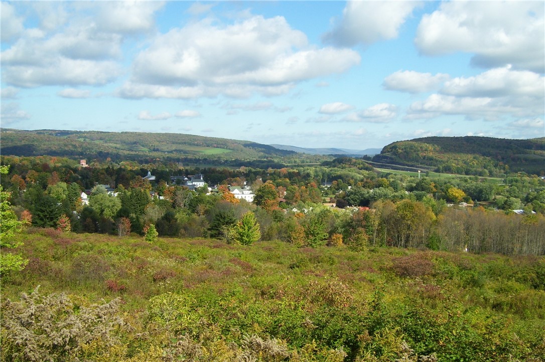 Tyler St. And Cornell Drive, Bainbridge, New York image 6