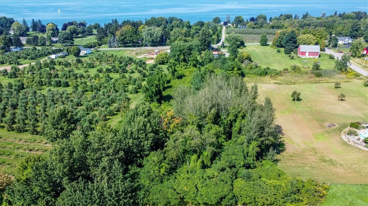 Lake Rd, Williamson, New York image 10