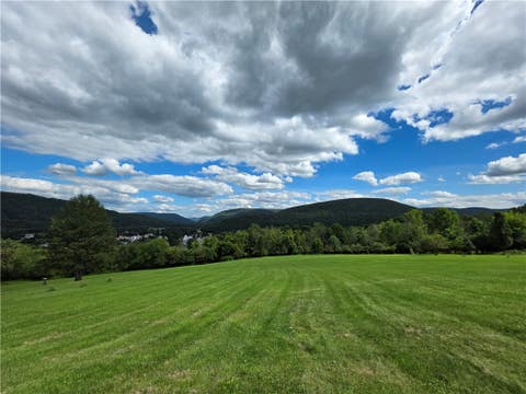 Tiny photo for 1988 Square Woods Drive, Canisteo, NY 14823 (MLS # R1708612)