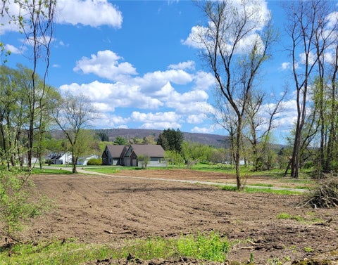Tiny photo for 22 Rural Avenue, Hornellsville, NY 14843 (MLS # R1710524)