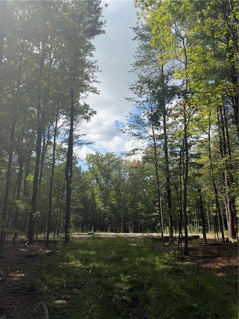 000/Lot 6 Prospect Ridge