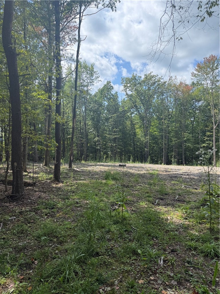 000/Lot 6 Prospect Ridge