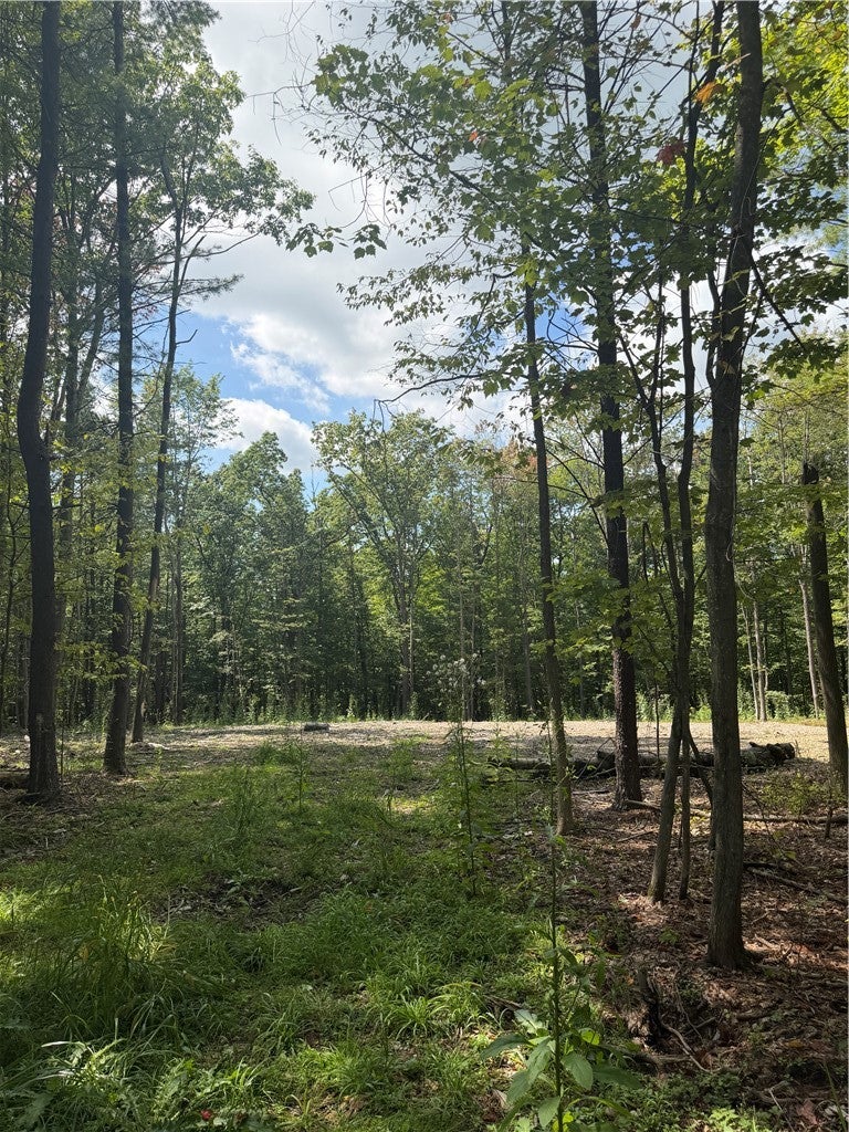 000/Lot 6 Prospect Ridge