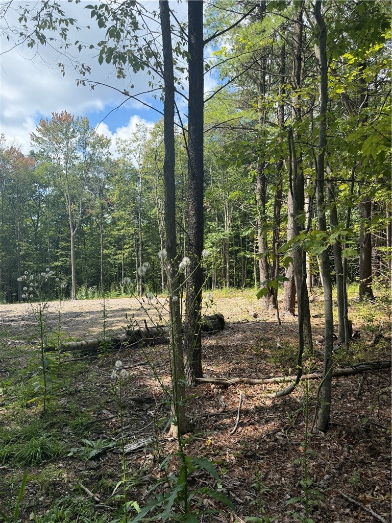 000/Lot 6 Prospect Ridge