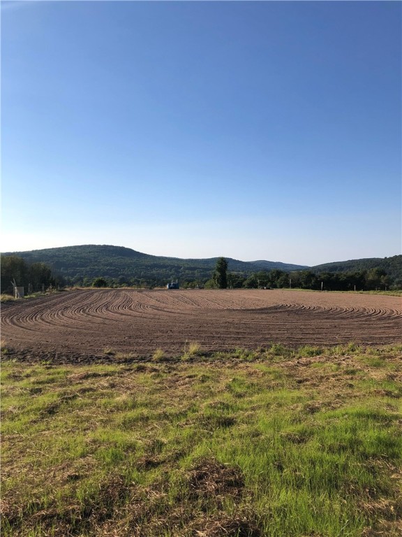 195 Downey Road, Otego, New York image 43