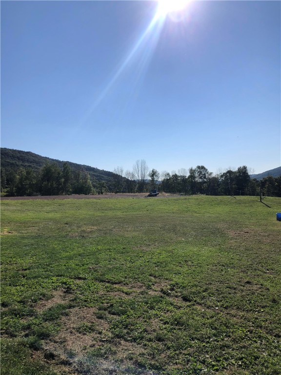 195 Downey Road, Otego, New York image 4