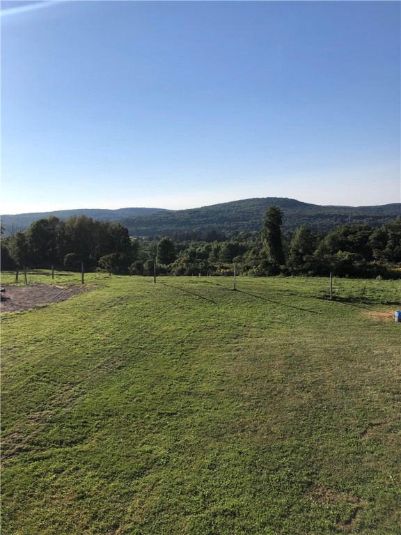 195 Downey Road, Otego, New York image 41