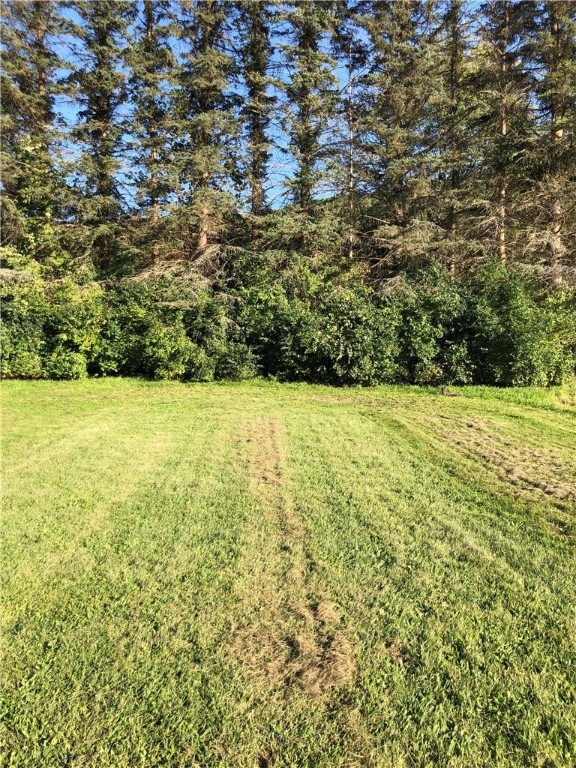 195 Downey Road, Otego, New York image 45