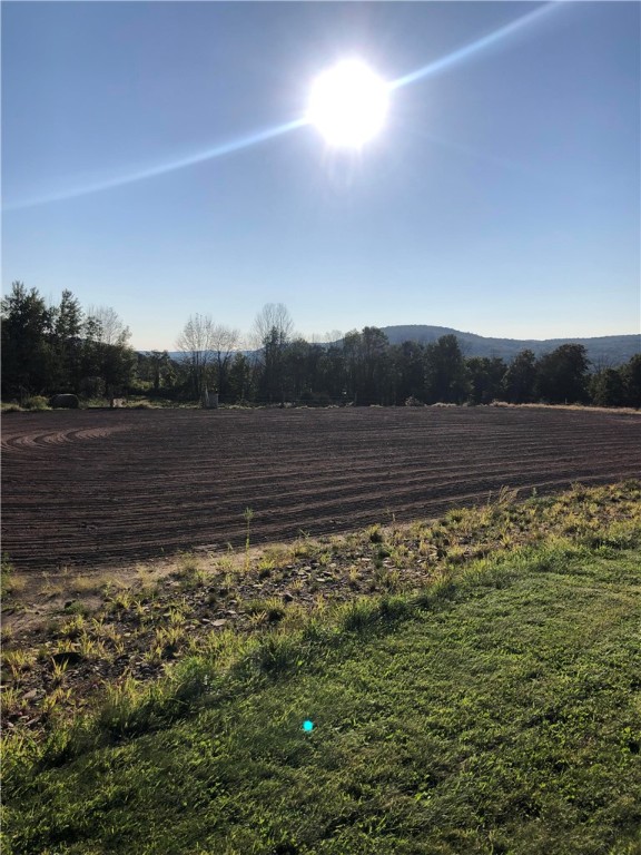 195 Downey Road, Otego, New York image 44