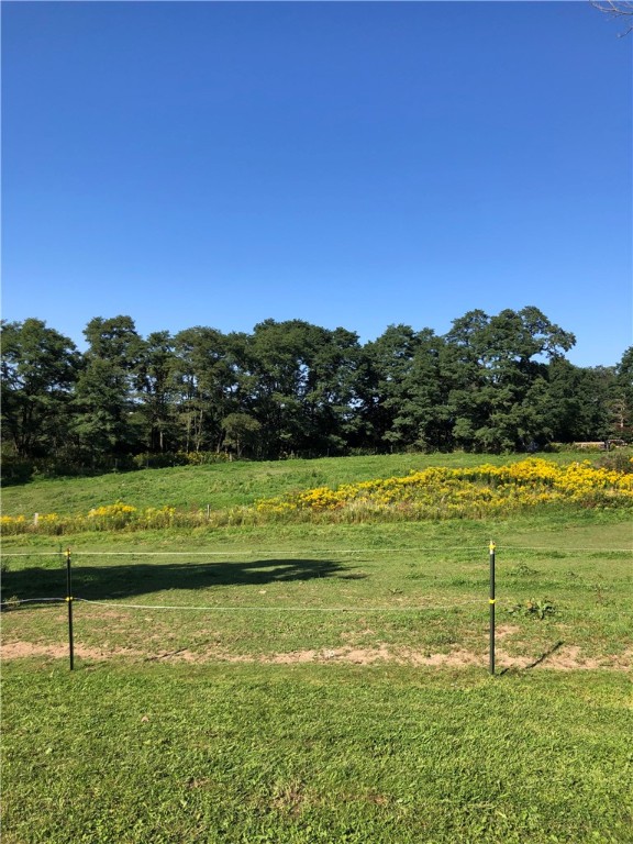 195 Downey Road, Otego, New York image 5