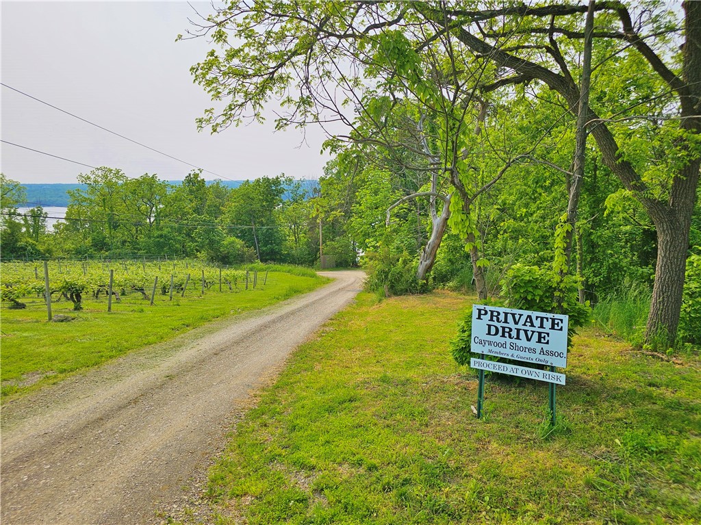 9481 Caywood Road, Lodi, New York image 39