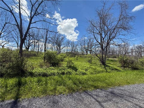 Photo of Tucker Road, Enfield, NY 14886 (MLS # R1707511)