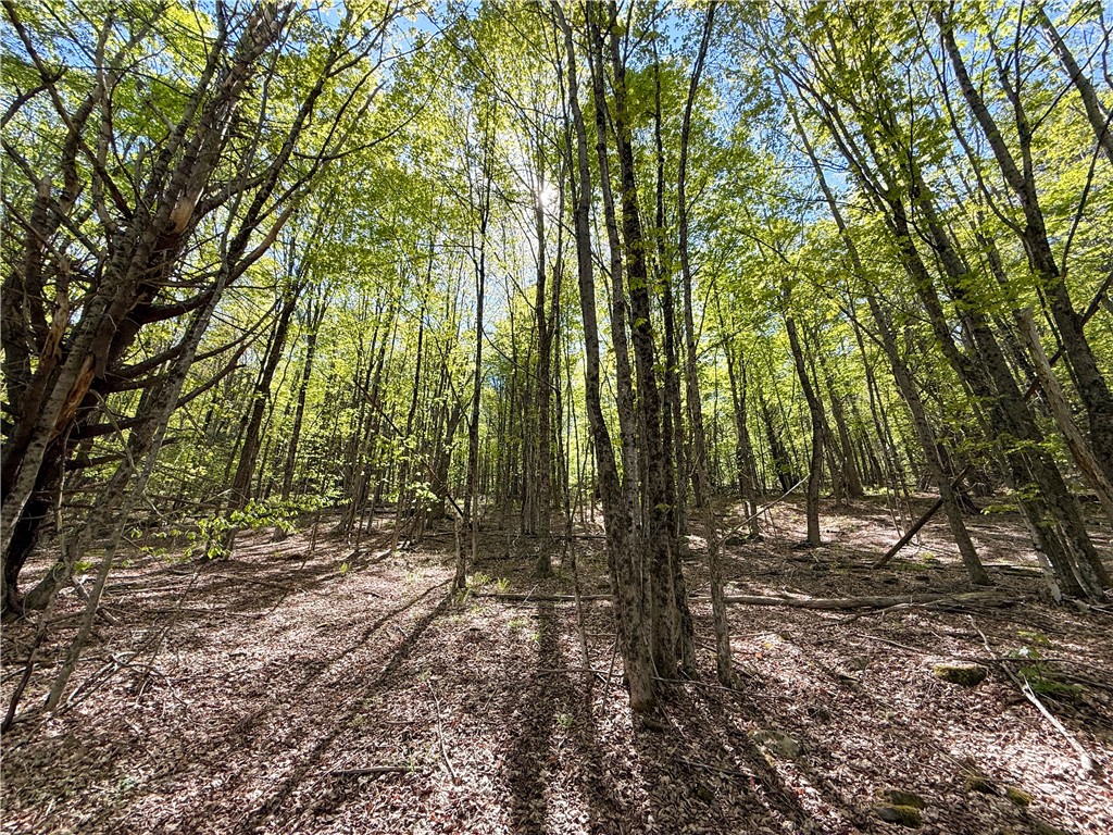 Quail Ridge Road, Middletown, New York image 14
