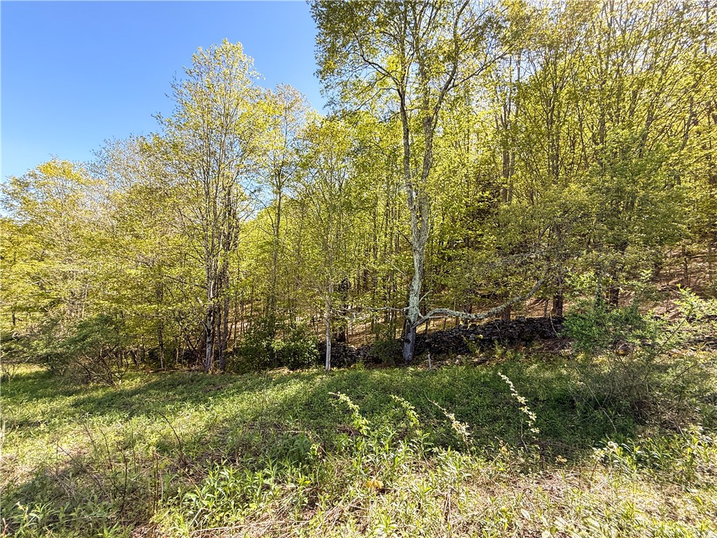 Quail Ridge Road, Middletown, New York image 13