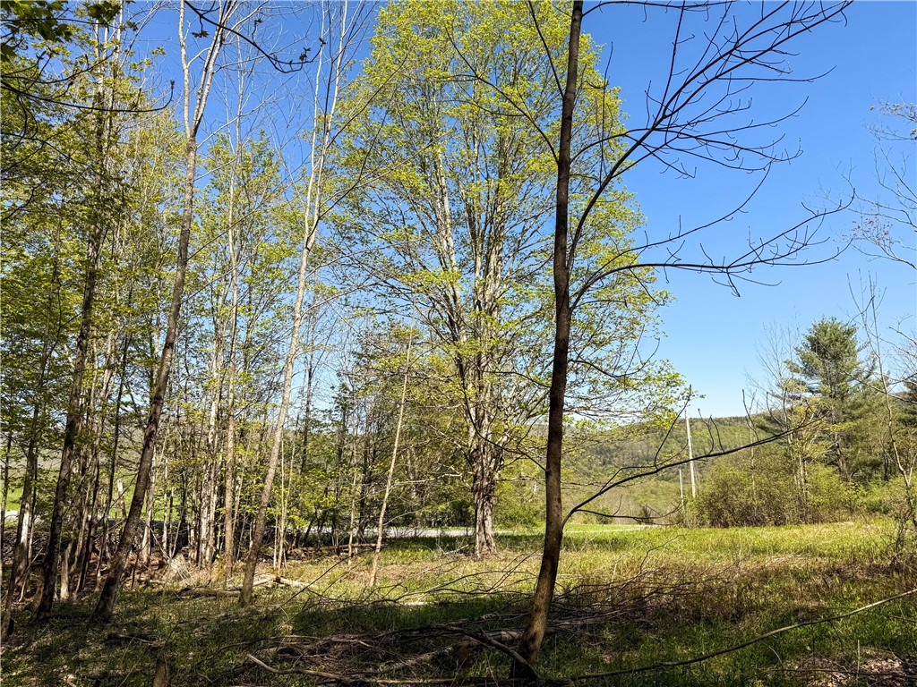 Quail Ridge Road, Middletown, New York image 11