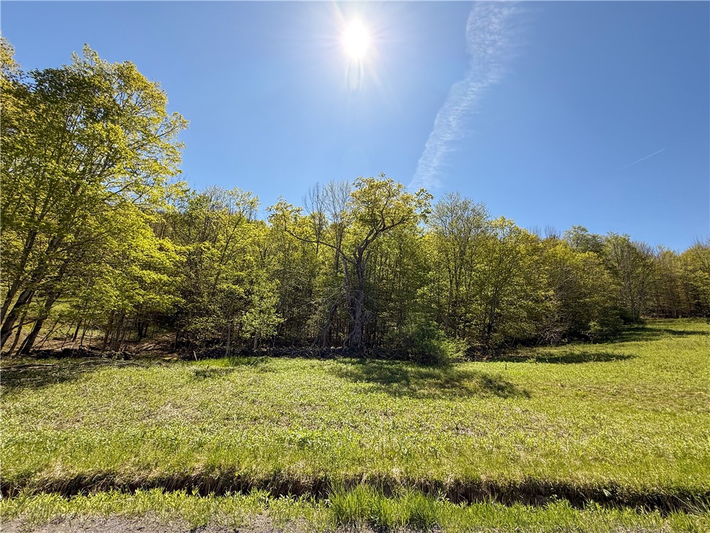 Quail Ridge Road, Middletown, New York image 4