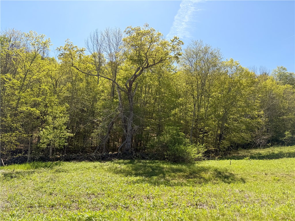 Quail Ridge Road, Middletown, New York image 8