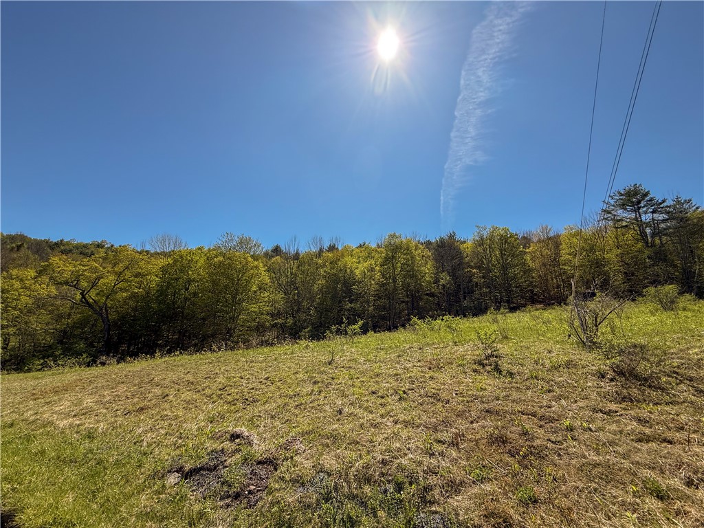 Quail Ridge Road, Middletown, New York image 10