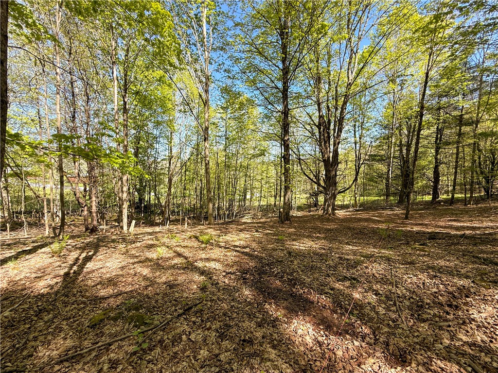 Quail Ridge Road, Middletown, New York image 17