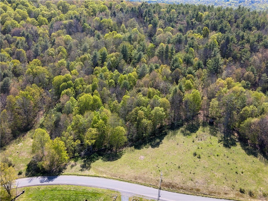 Quail Ridge Road, Middletown, New York image 6