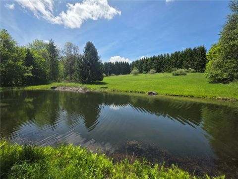 Vacant Land For Sale - 0 Lanning Road<br/> Ontario County, Naples, NY 14512