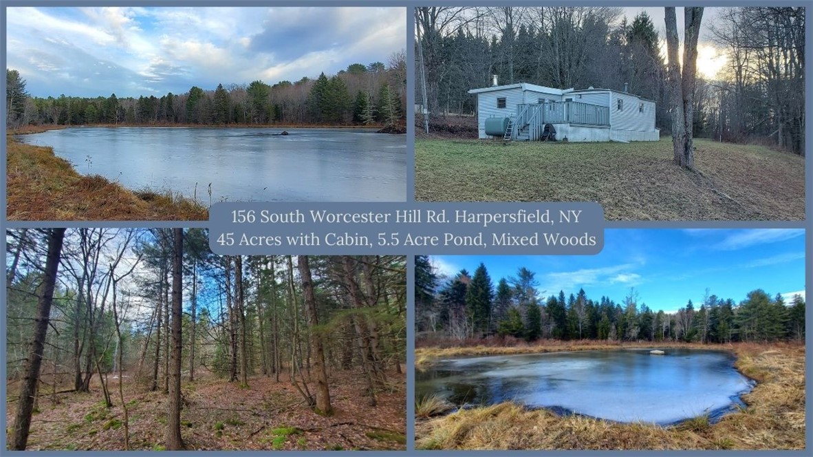 156 S Worcester Hill Road, Harpersfield, New York image 1