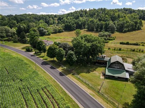 Homes For Sale - 281 County Route 32<br/> Almond, NY 14807