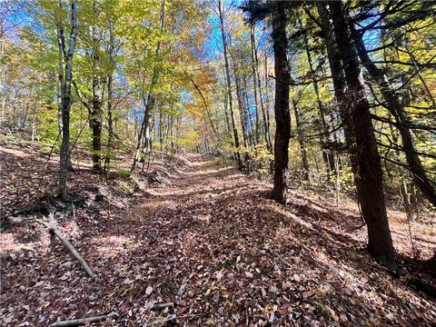 Vacant Land For Sale - State Route 34<br/> Tioga County, Barton, NY 13734