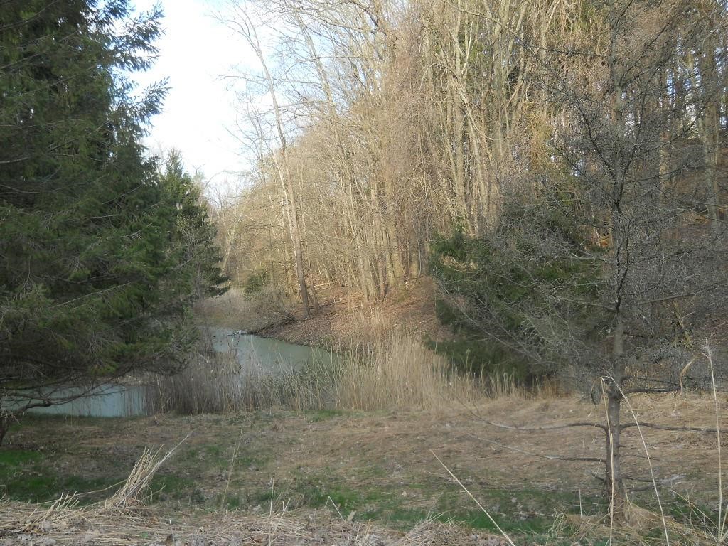 Pinegrove Avenue, Irondequoit, New York image 4