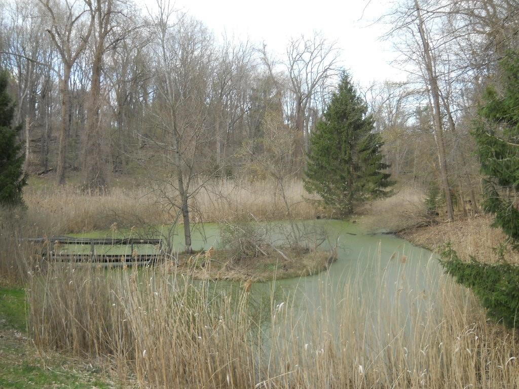 Pinegrove Avenue, Irondequoit, New York image 1