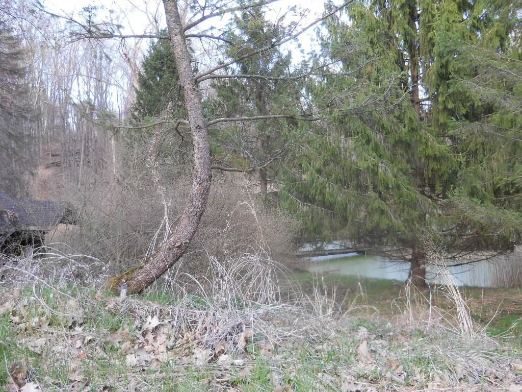 Pinegrove Avenue, Irondequoit, New York image 7