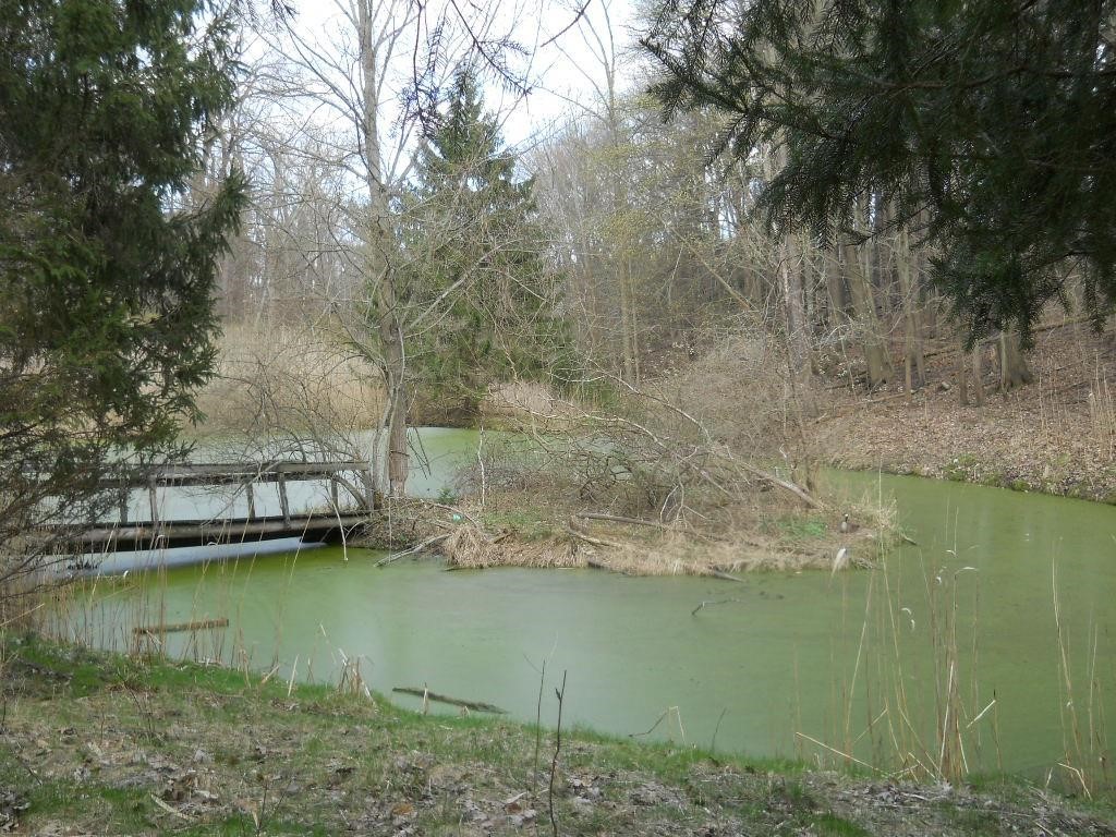 Pinegrove Avenue, Irondequoit, New York image 2
