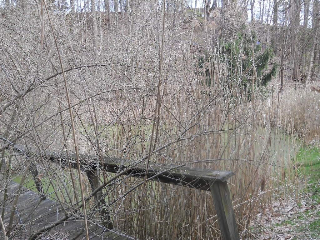 Pinegrove Avenue, Irondequoit, New York image 8