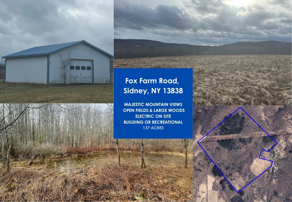 Fox Farm Road, Sidney, New York image 1