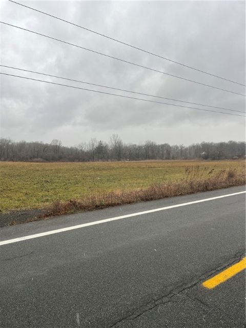 Tiny photo for St Rt 34B Highway, Scipio, NY 13147 (MLS # R1655283)