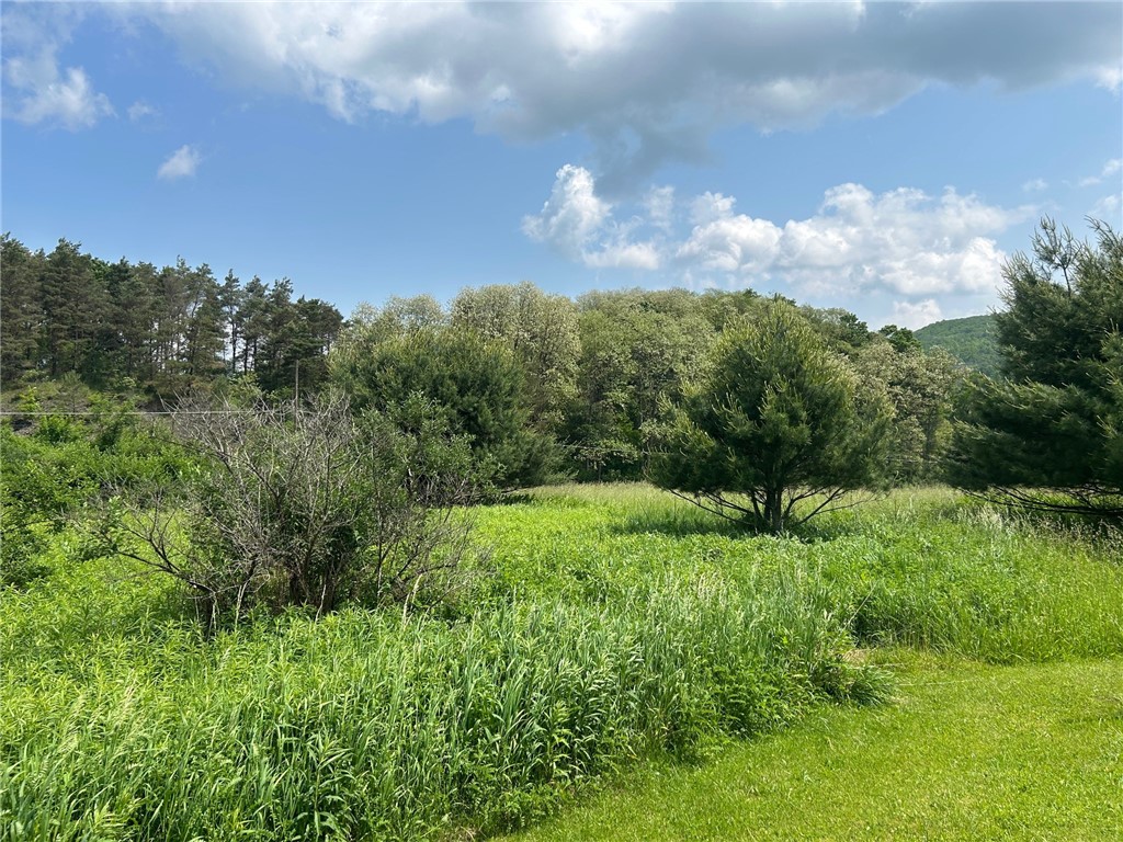 Clark Rd Extension, Almond, New York image 1