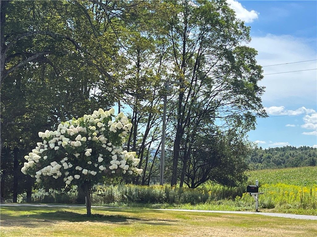 Photo of 196 Short Crumhorn Road, Maryland, NY 12116 (MLS # R1650515)