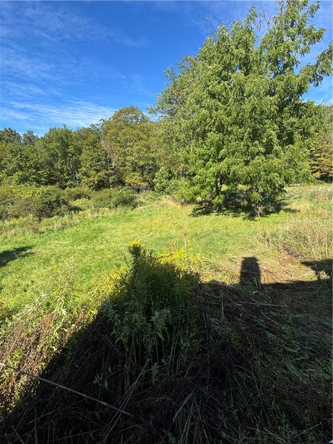 Tiny photo for 333 Mallory Road, Chemung, NY 14825 (MLS # R1715494)