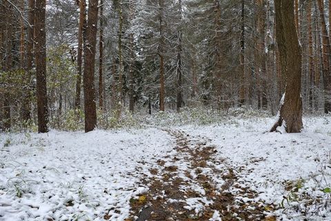 Photo of 0 Spring Road S, West Sparta, NY 14437 (MLS # R1667957)