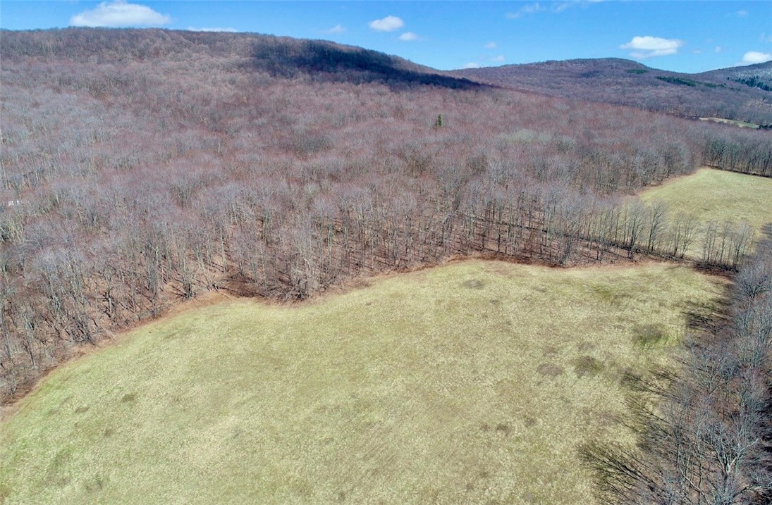 Lot 2 Doig Hollow Road, Andes, New York image 34