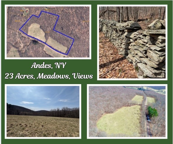 Lot 2 Doig Hollow Road, Andes, New York image 1