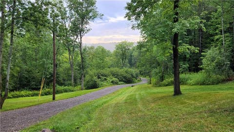 Photo of 316 Seminary Road, Hartwick, NY 13348 (MLS # R1693236)