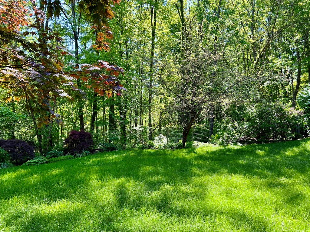 73 Hickory Road, Dryden, New York image 9