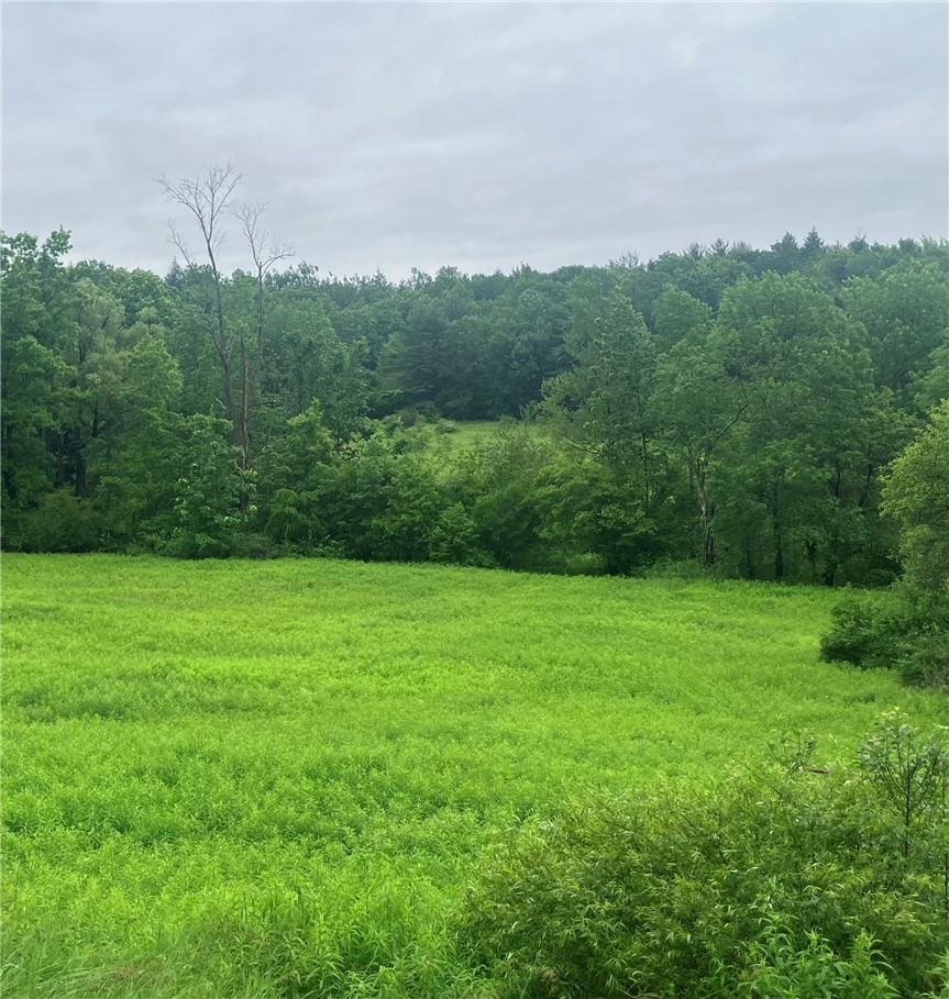 Lot 3 oregon road