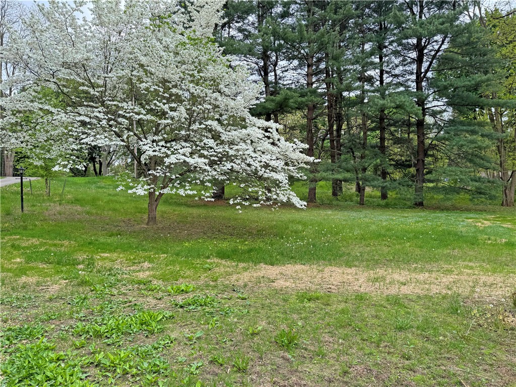 41 Washington Road, Pittsford, New York image 41